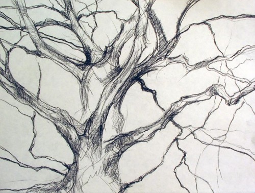 Tree Gesture 16