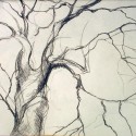 Tree Gesture 17