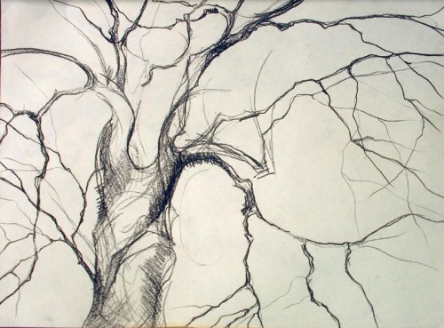 Tree Gesture 17