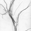 Tree Gesture 2